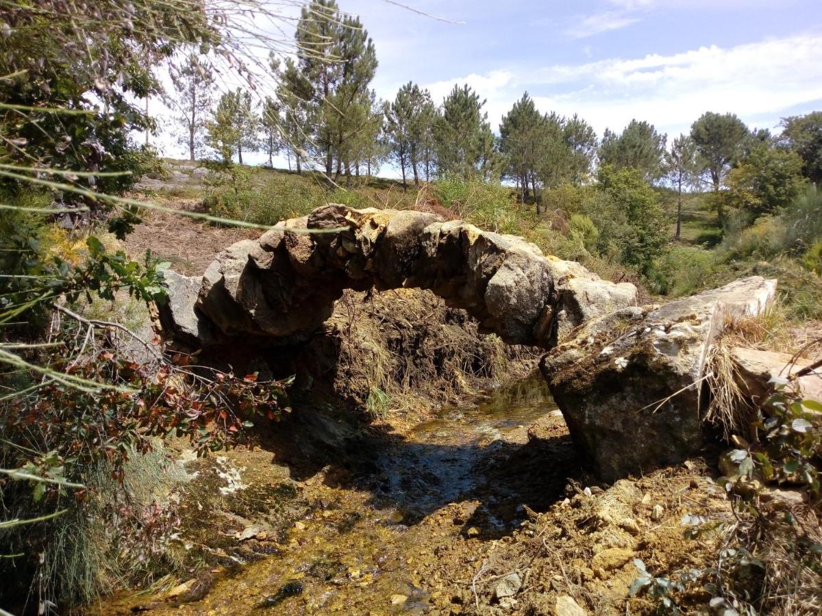 Foz Sunshine Διαμέρισμα Caminha Εξωτερικό φωτογραφία